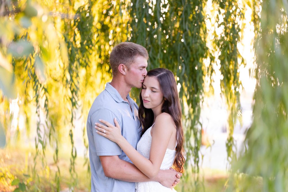 Engagement session in Orland, California by willow tree