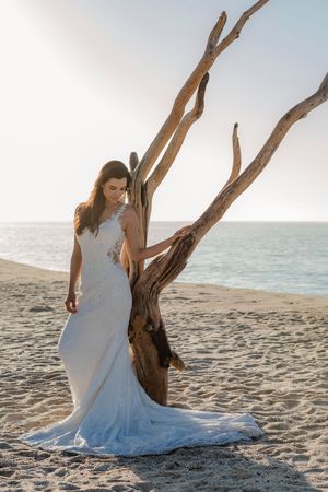 Elegant bride portrait with natural light in Cabo wedding