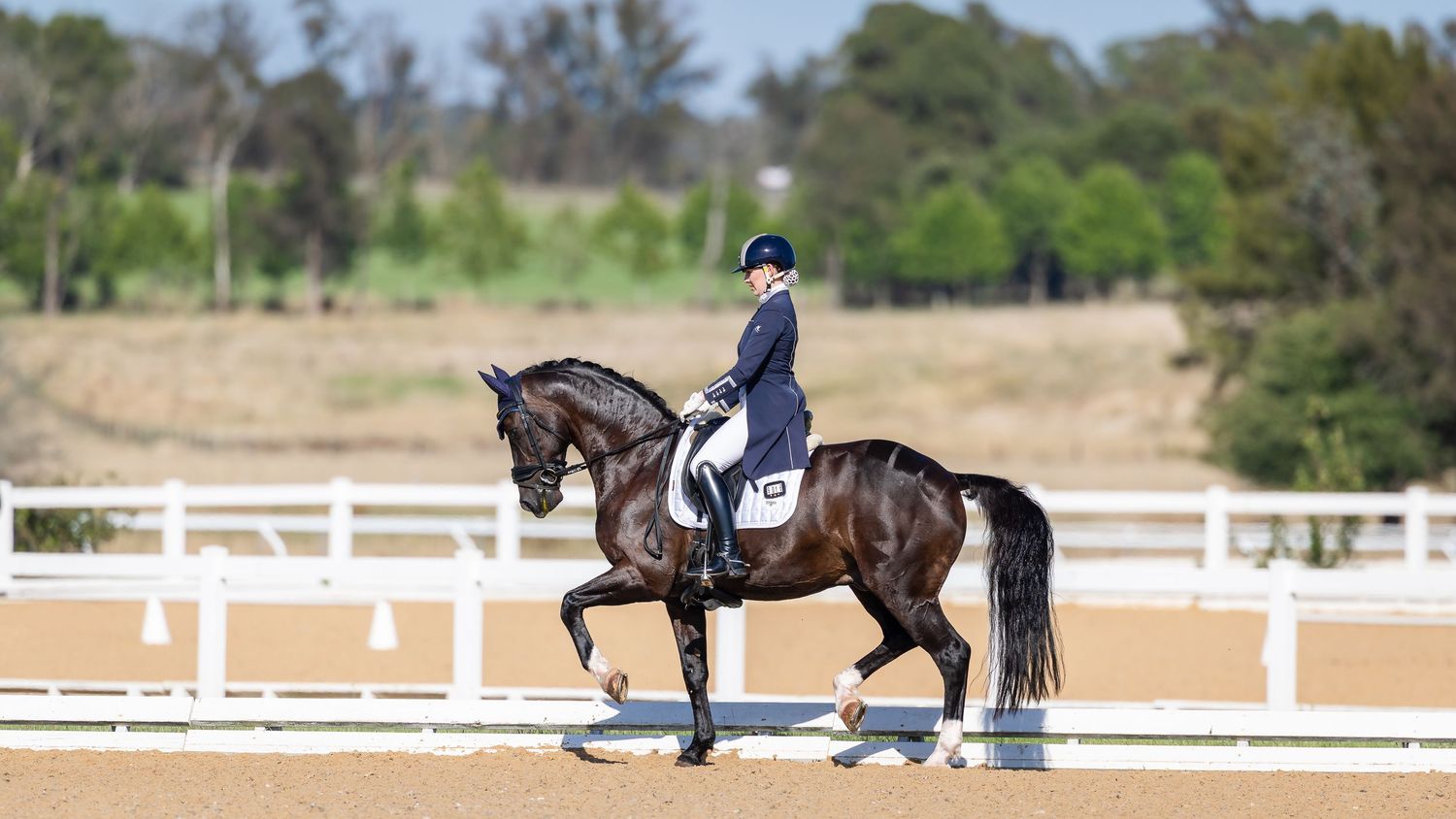 Layla Williams and her Grand Prix horse Ampersand (by Ampere) in passage at Bowral Dressage Club. © Simon Scully, 2026.