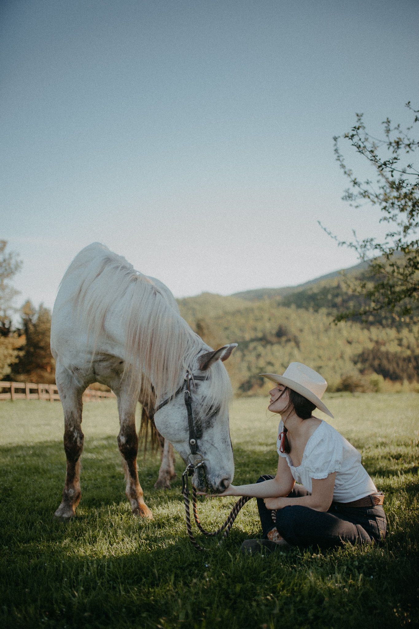 Fotografia s koňom vo westernovom štýle v meste Žarnovica