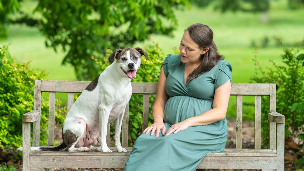A spotted dog sits on a wooden park bench next to a woman in a green dress surrounded by lush summer foliage.