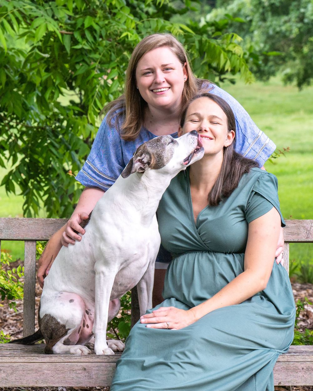 A white dog gives kisses while sitting on a wooden bench in a lush garden setting.