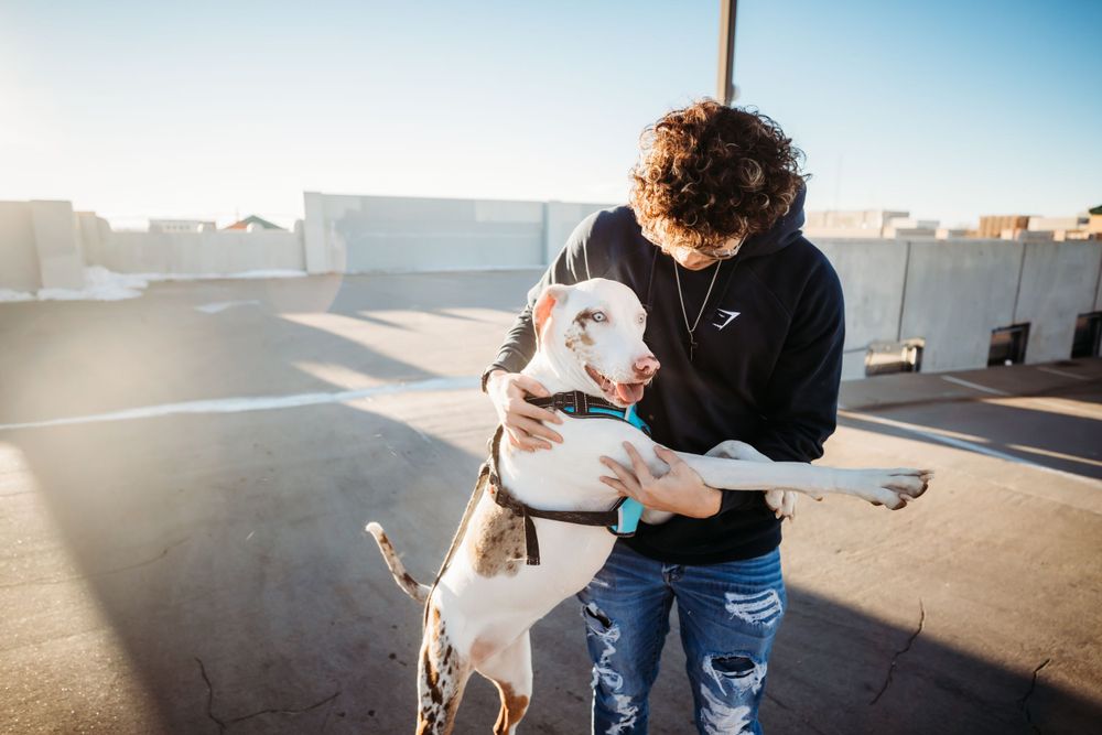 Senior boy poses with his white and brown dog on rooftop in Dickson, TN