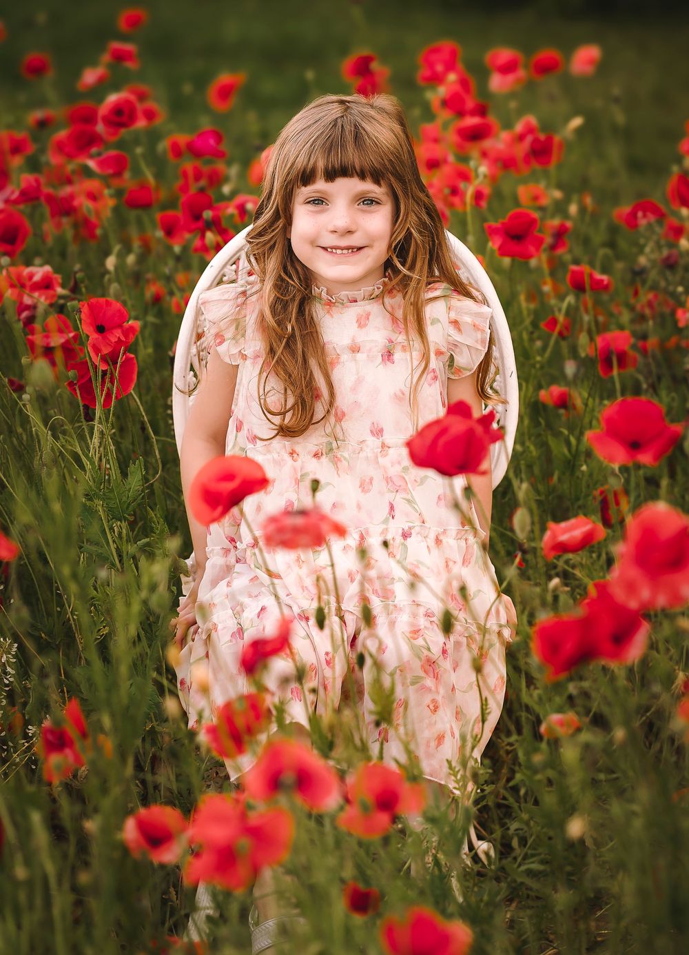 Beautiful field of vibrant red poppies in a lush green meadow with soft sunlight creating a dreamy summer atmosphere.
