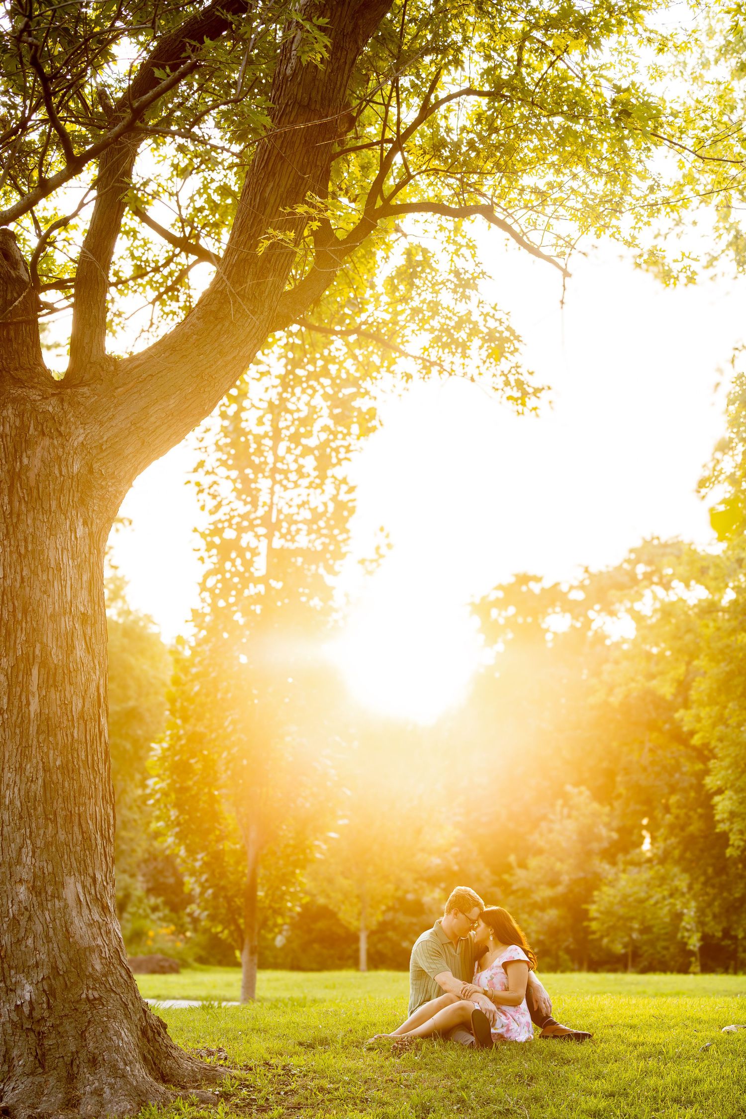 A couple sit under a large tree in a park, enjoying the warm sunlight.