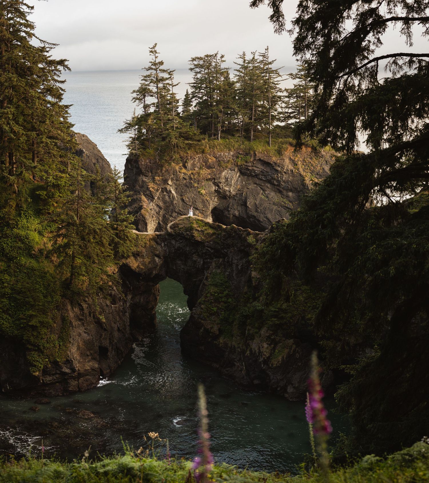 Natural rock arch bridge over turquoise water surrounded by lush coastal forest.