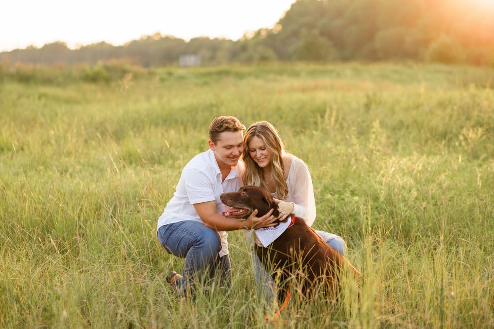A couple sits with their chocolate lab in a sunny meadow at golden hour.