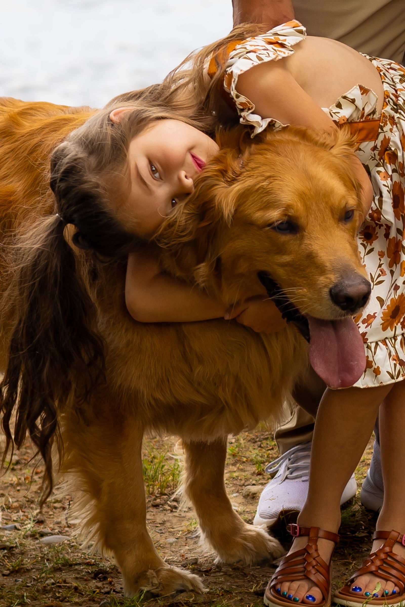 Girl in a dress hugs her dog in moment captured by Washington family photographer Jess Bickel.