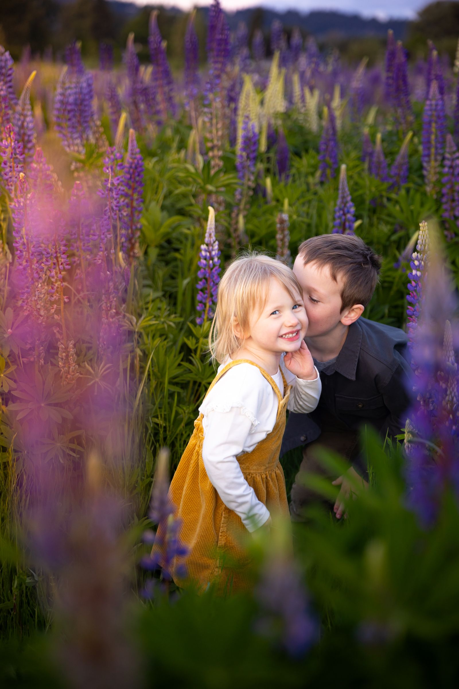 A boy whispers something funny to his little sister to make her laugh for a photo in flower field in Washington.