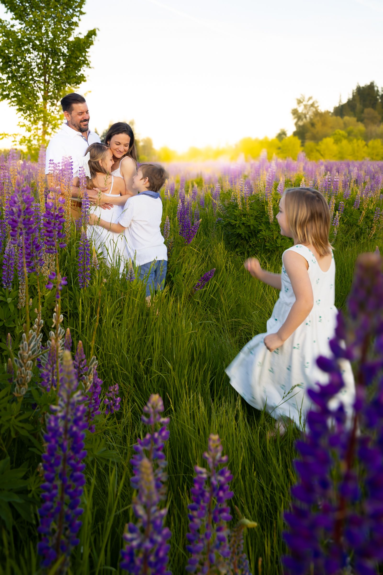 Children run into their parents' arms lovingly in a field of lupine in Puyallup, Washington.