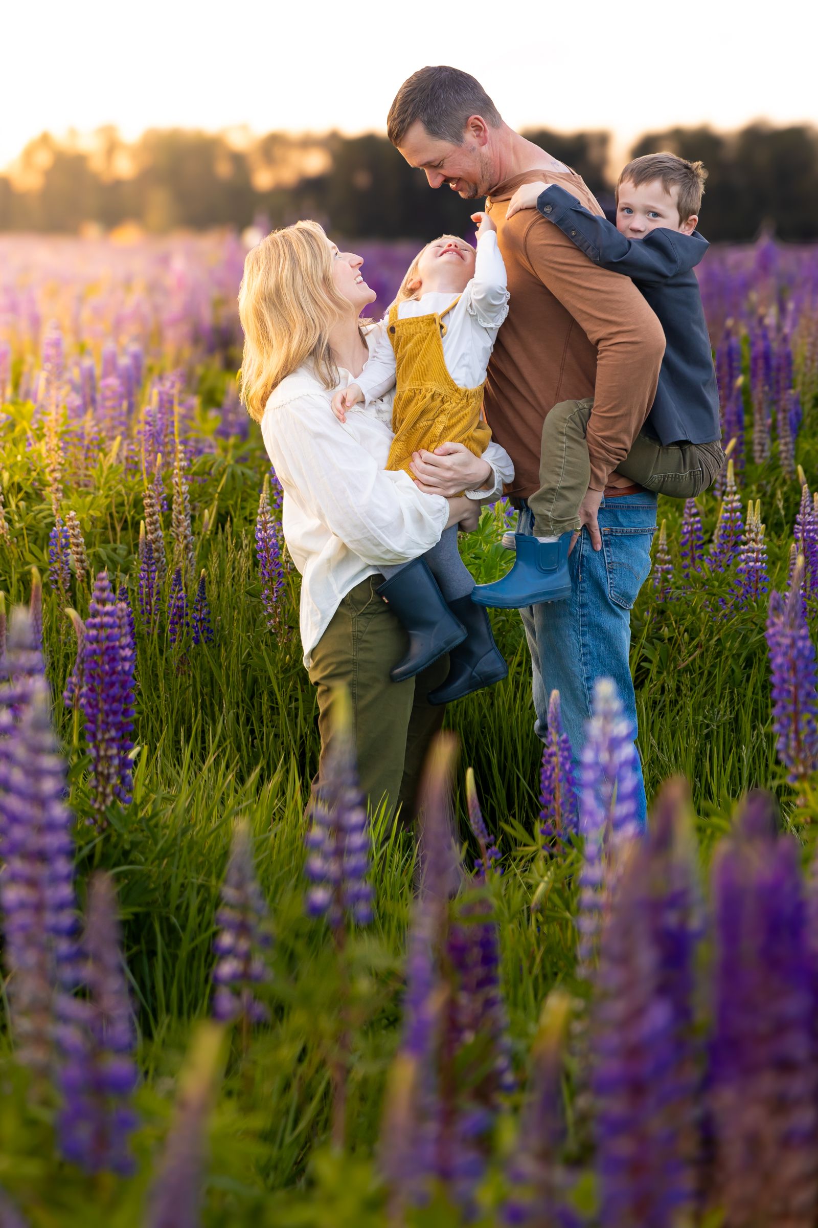 A Washington family pose in a field of dense lupine at sunset near Sumner, Washington.