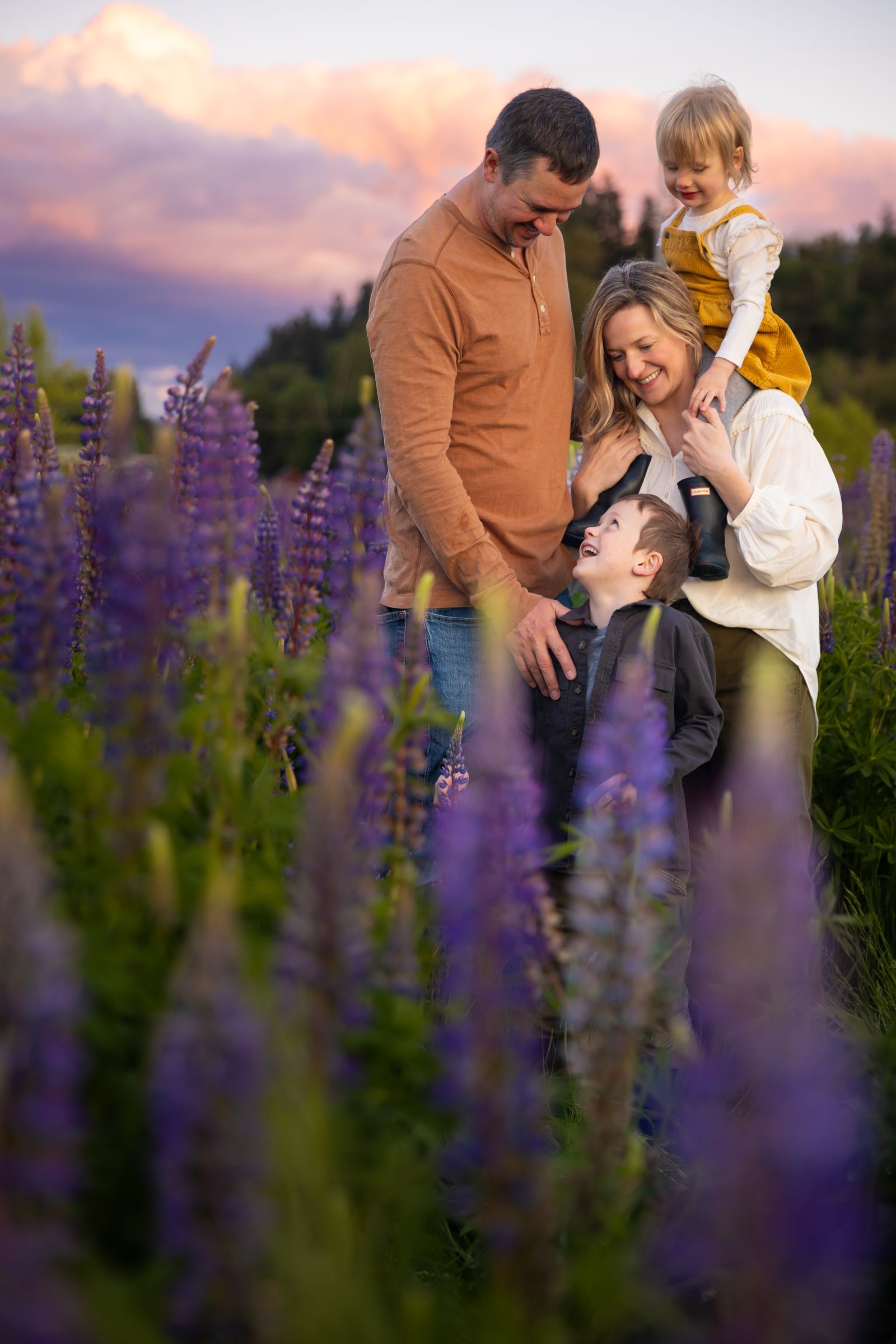A Washington family pose in a field of dense lupine at sunset near Sumner, Washington.
