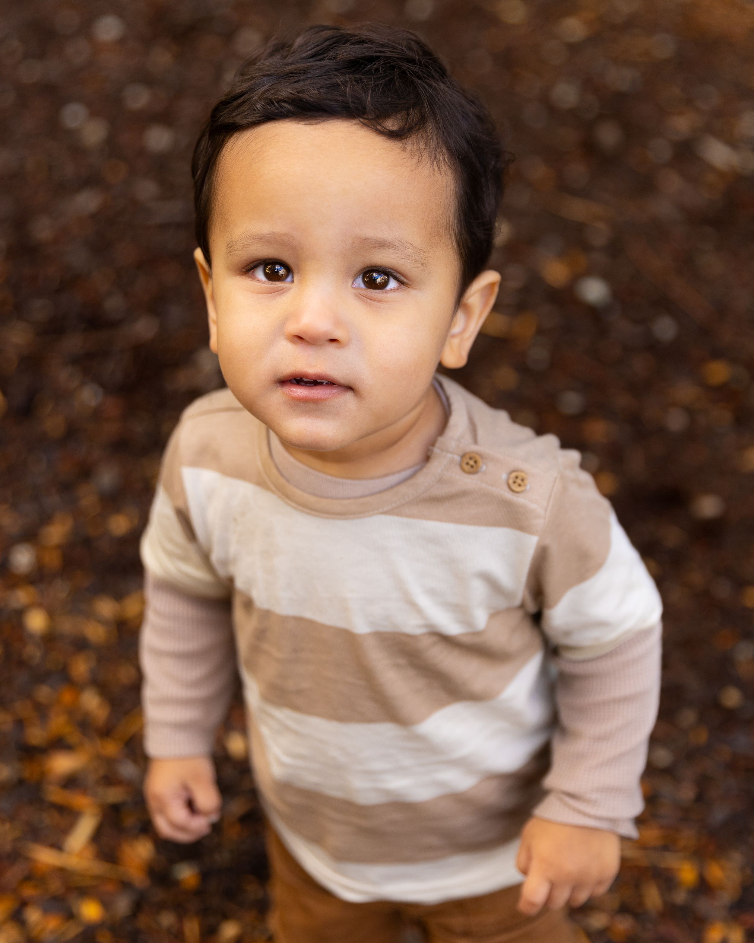 A toddler looks at the camera during his family photography session in Bonney Lake, Washington.