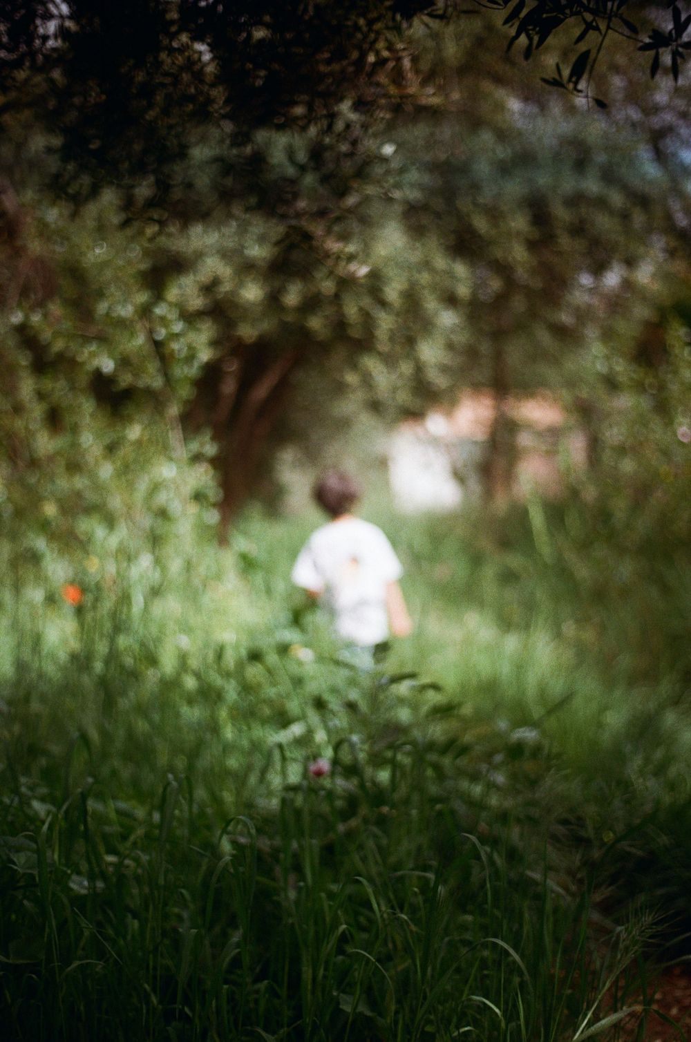 A child in a white shirt walks through a lush green garden path surrounded by tall grass and trees.