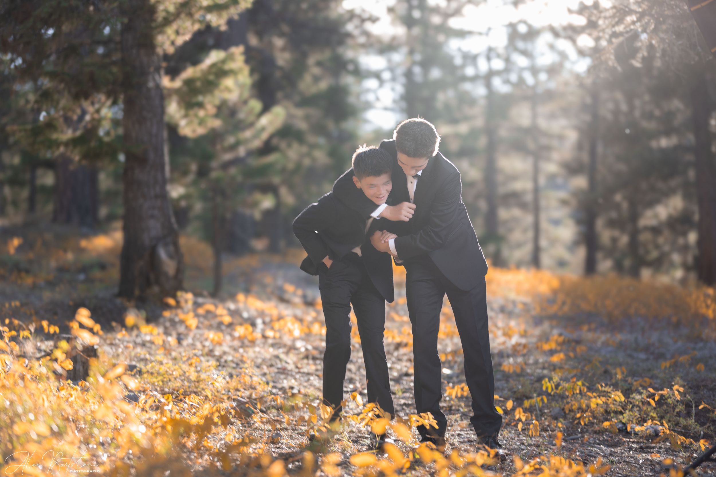 Two men in black suits stand among golden autumn leaves in a sunlit forest setting.