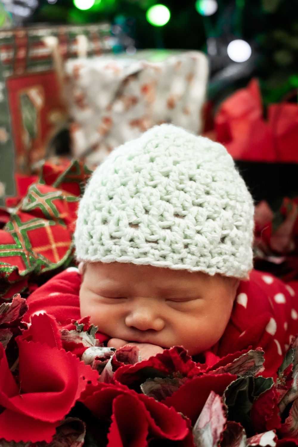 Newborn Portrait Photography in Cary, NC