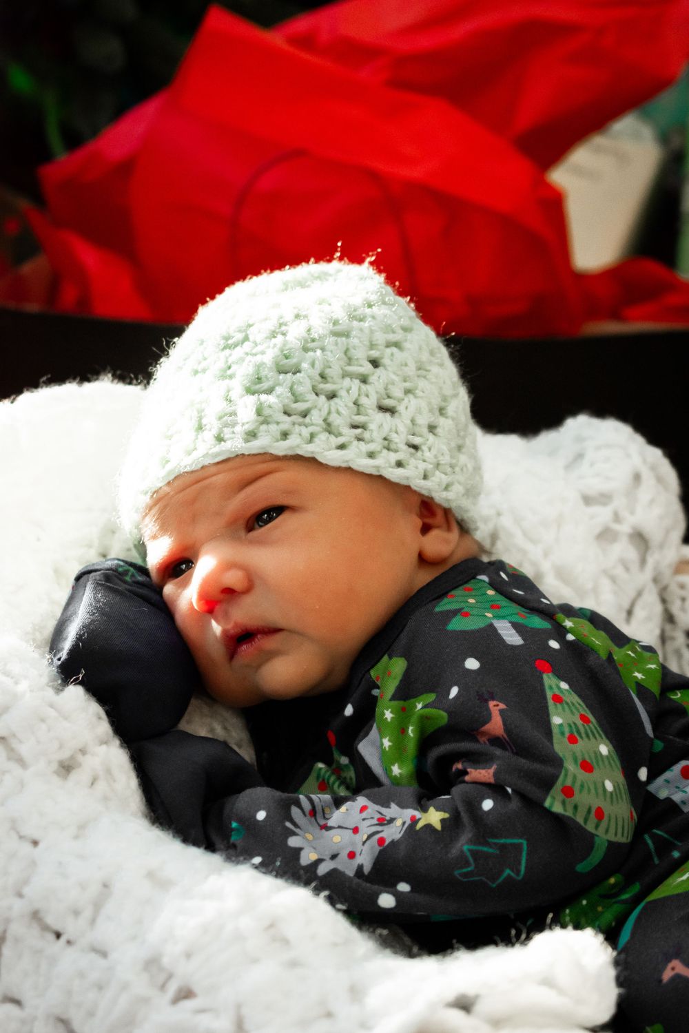 Newborn Portrait Photography in Cary, NC