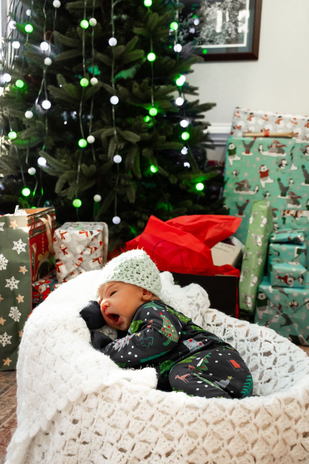 Newborn Portrait Photography in Cary, NC