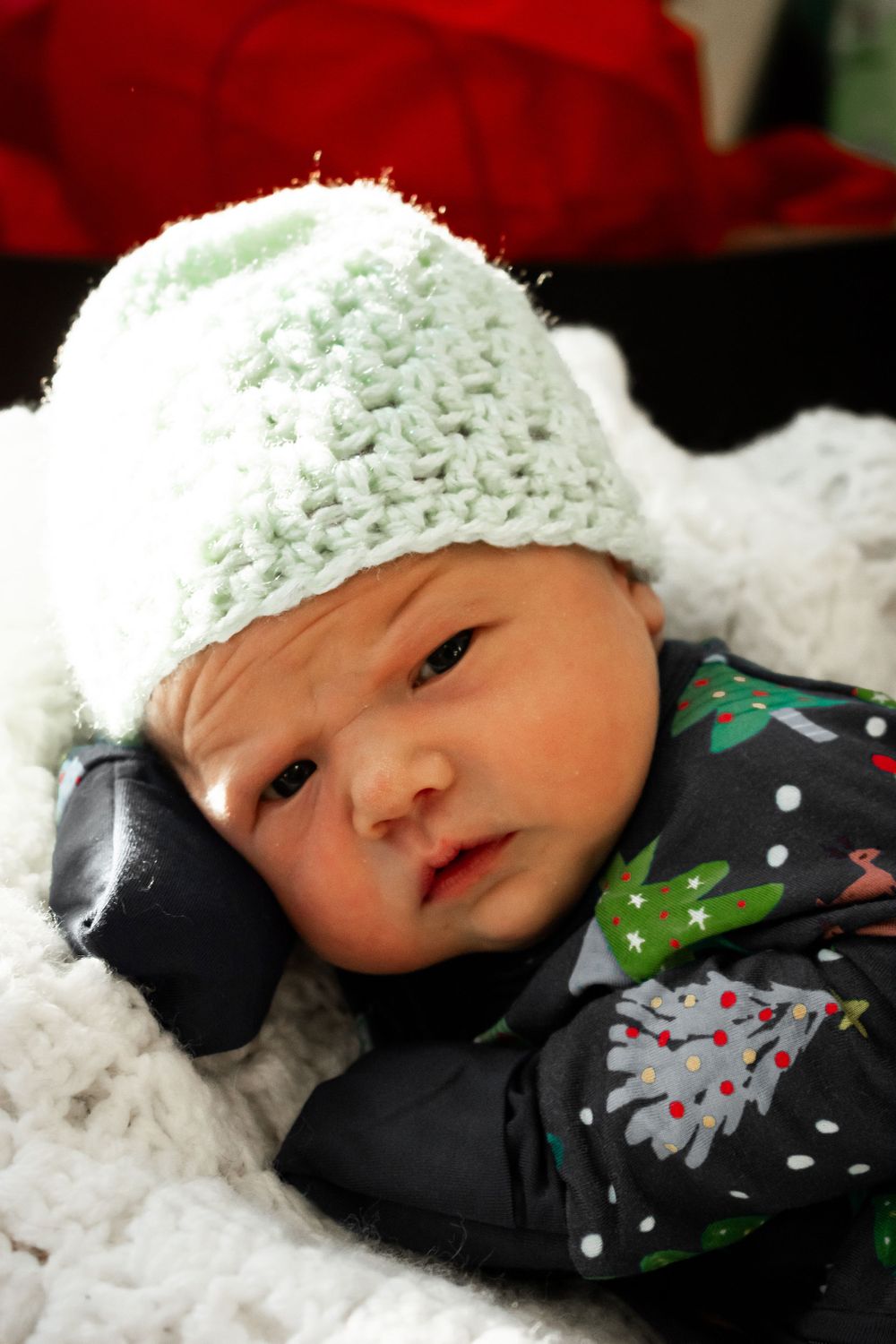 Newborn Portrait Photography in Cary, NC