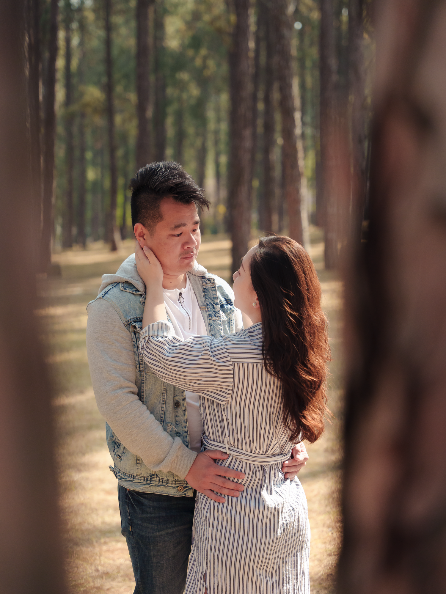 A romantic couple embraces in a pine forest while wearing casual matching outfits.