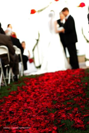 Wedding ceremony backdrop with vibrant red rose petals scattered along the aisle.