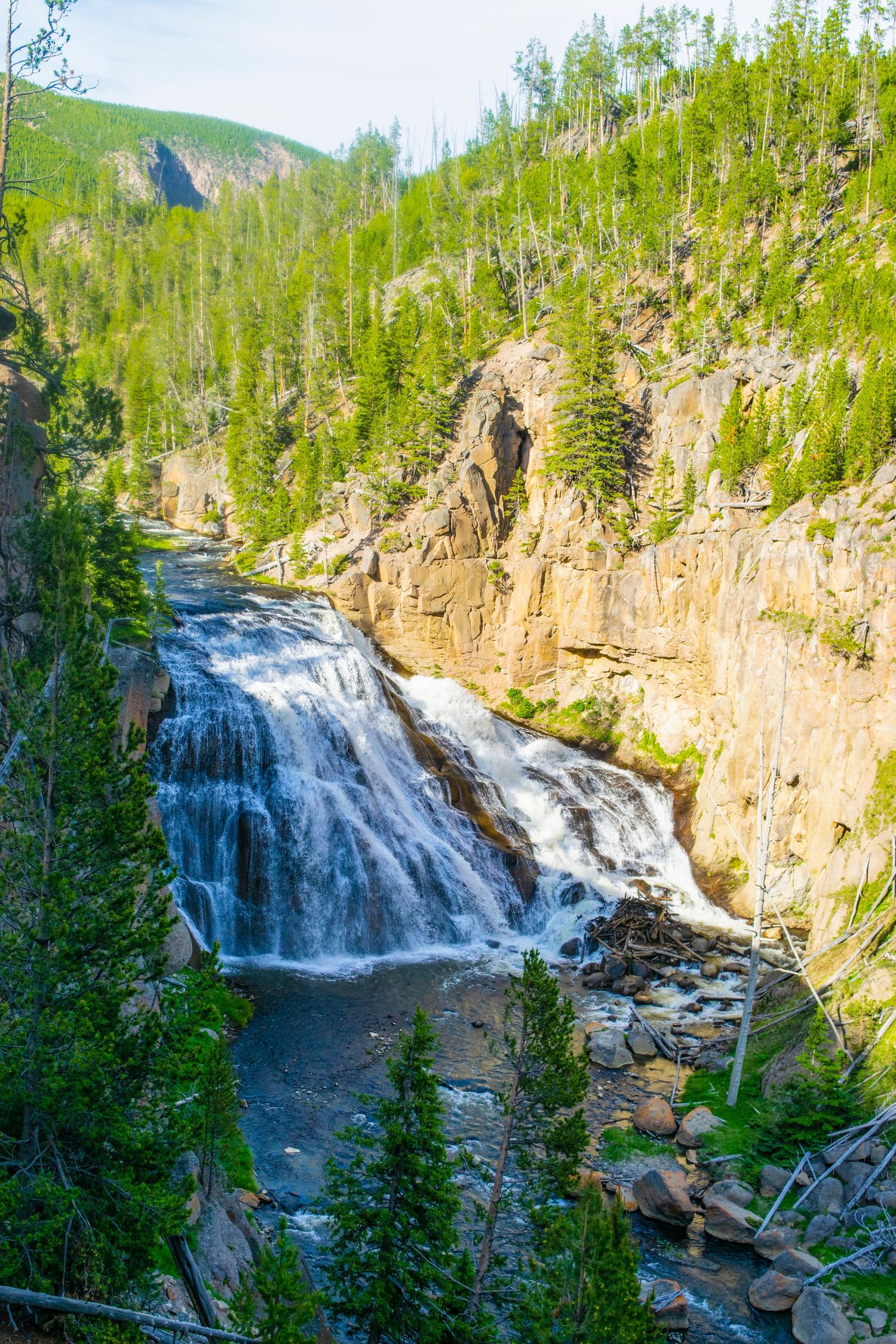 Majestic waterfall cascades down rocky cliffs surrounded by dense pine forest in mountainous terrain.