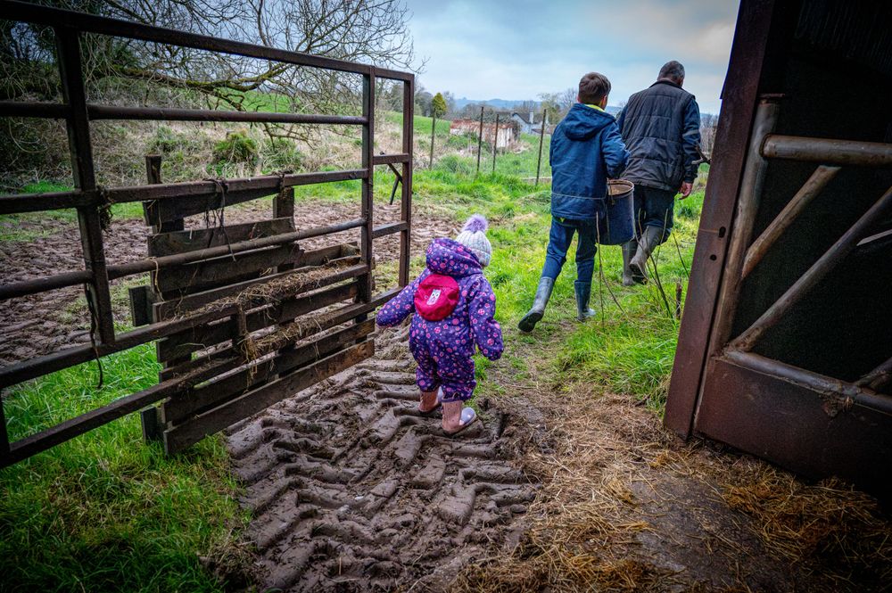 eleanor barry photography newborn family wedding waterford munster on the farm