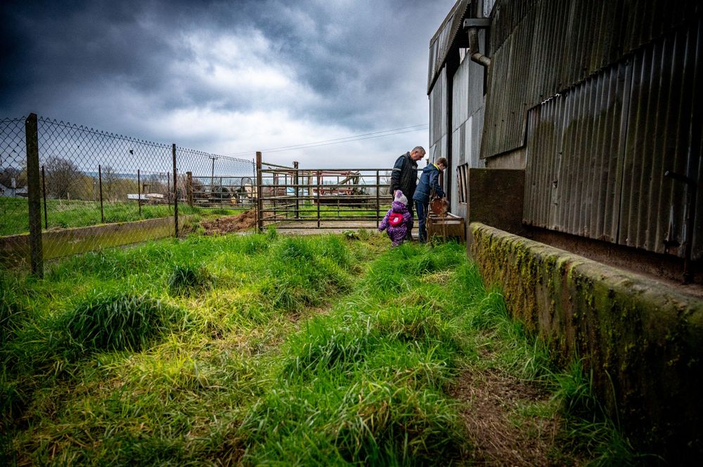 eleanor barry photography newborn family wedding waterford munster on the farm