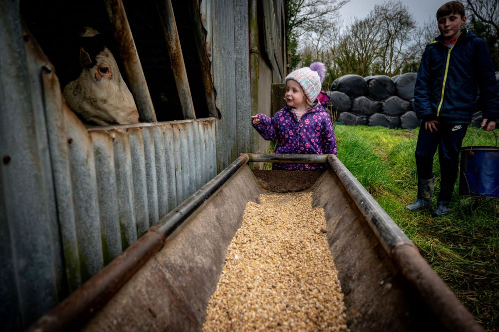 eleanor barry photography newborn family wedding waterford munster on the farm