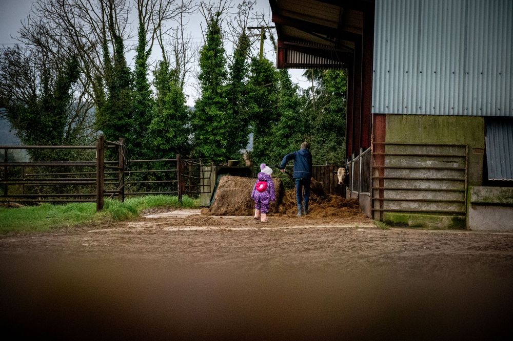 eleanor barry photography newborn family wedding waterford munster on the farm