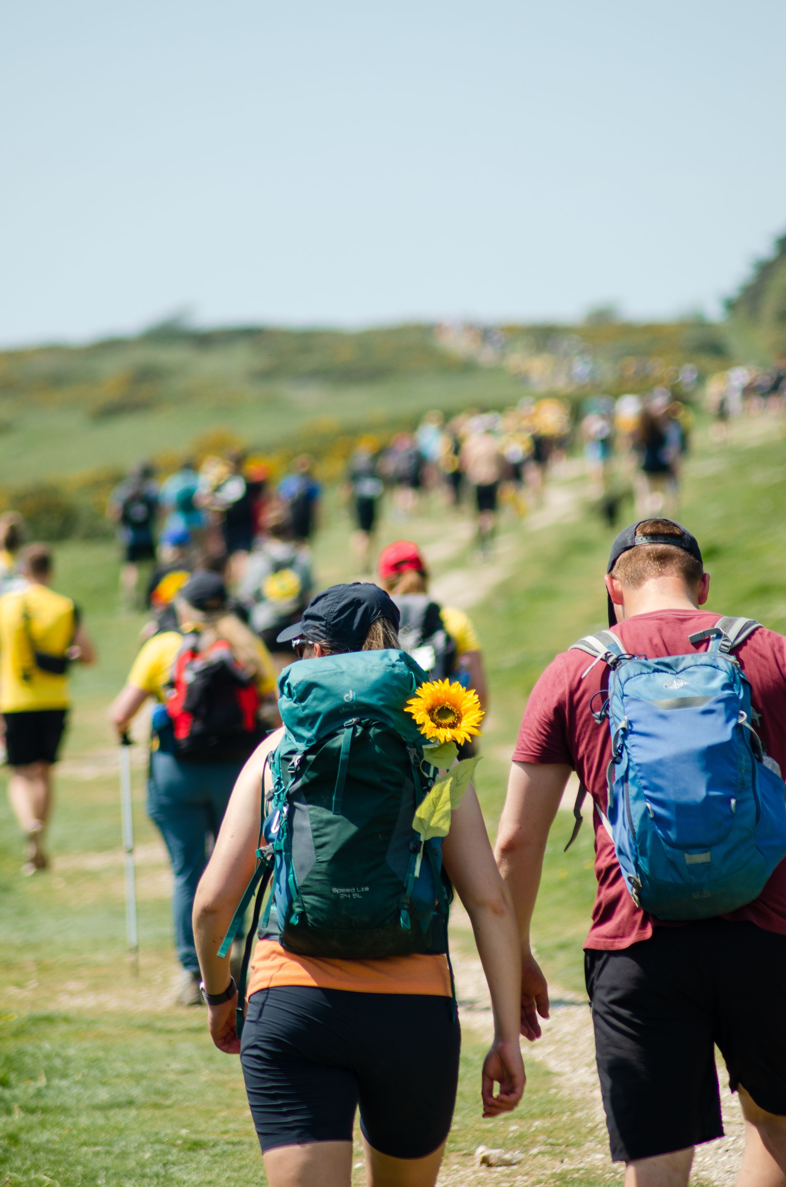 Hikers with backpacks walking in line along scenic hillside trail with sunflower decoration.