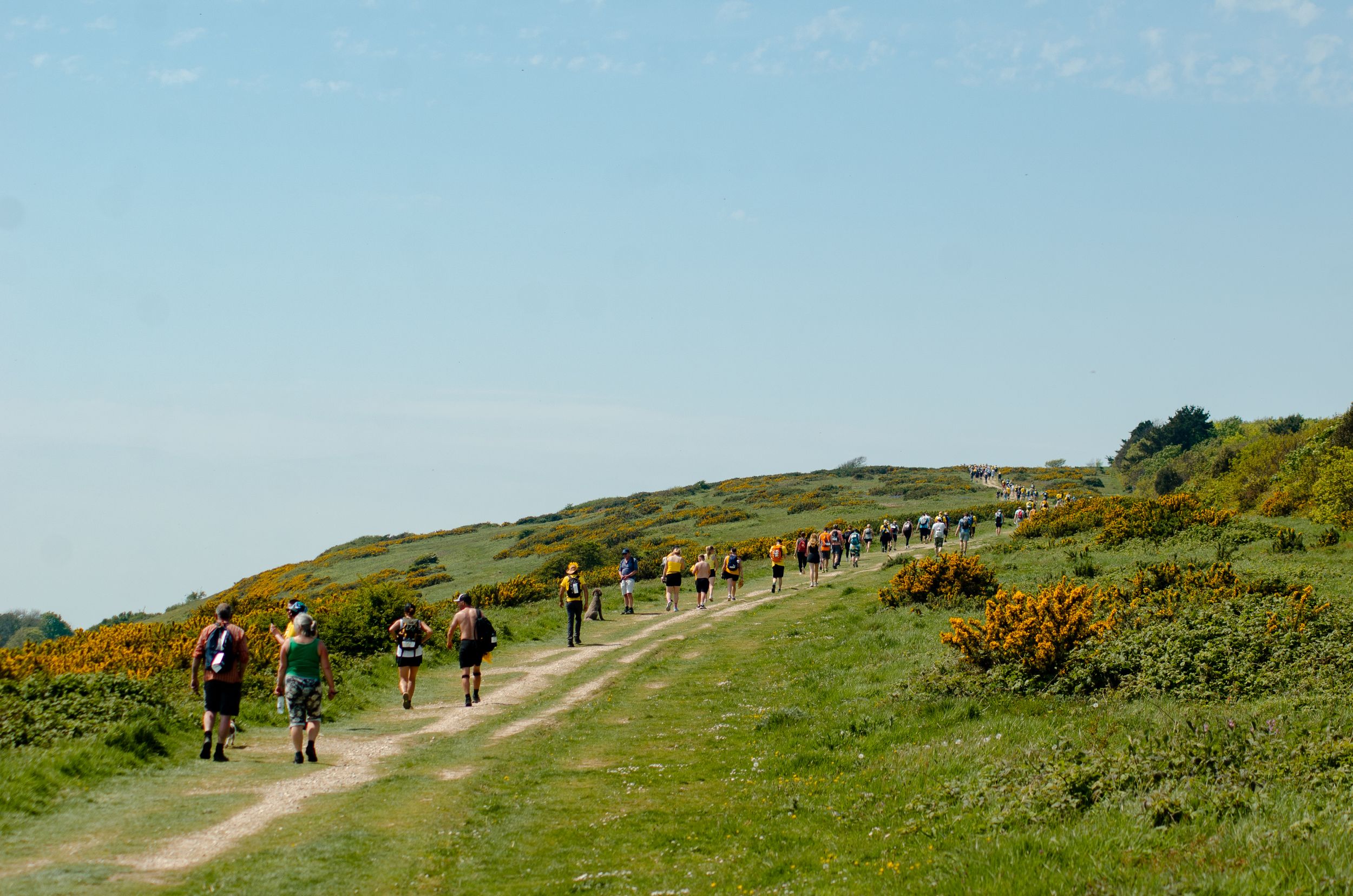 Long line of hikers traversing coastal path on sunny day.
