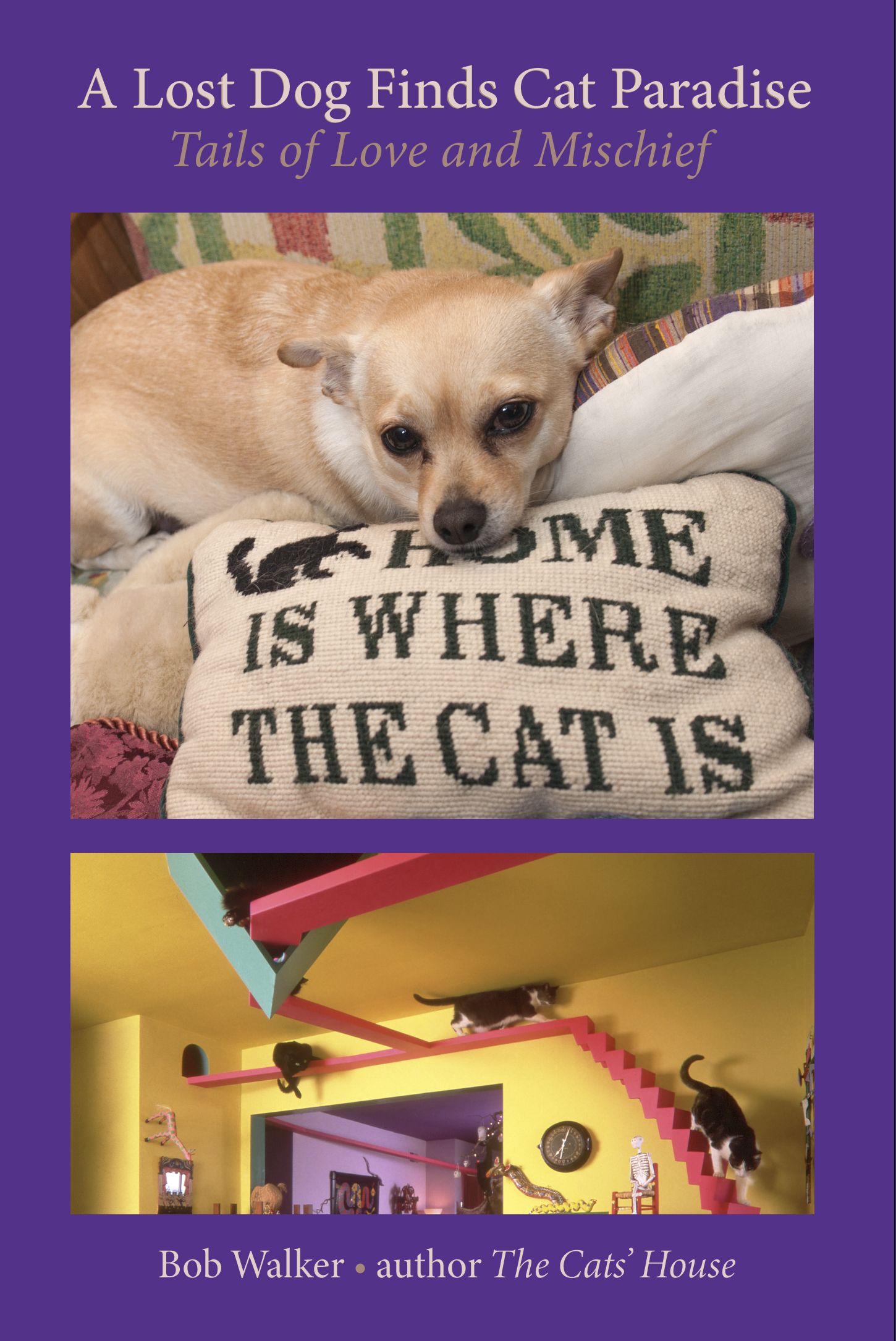 A Lost Dog Finds Cat Paradise: Tails of Love and Mischief, author and photographer Bob Walker