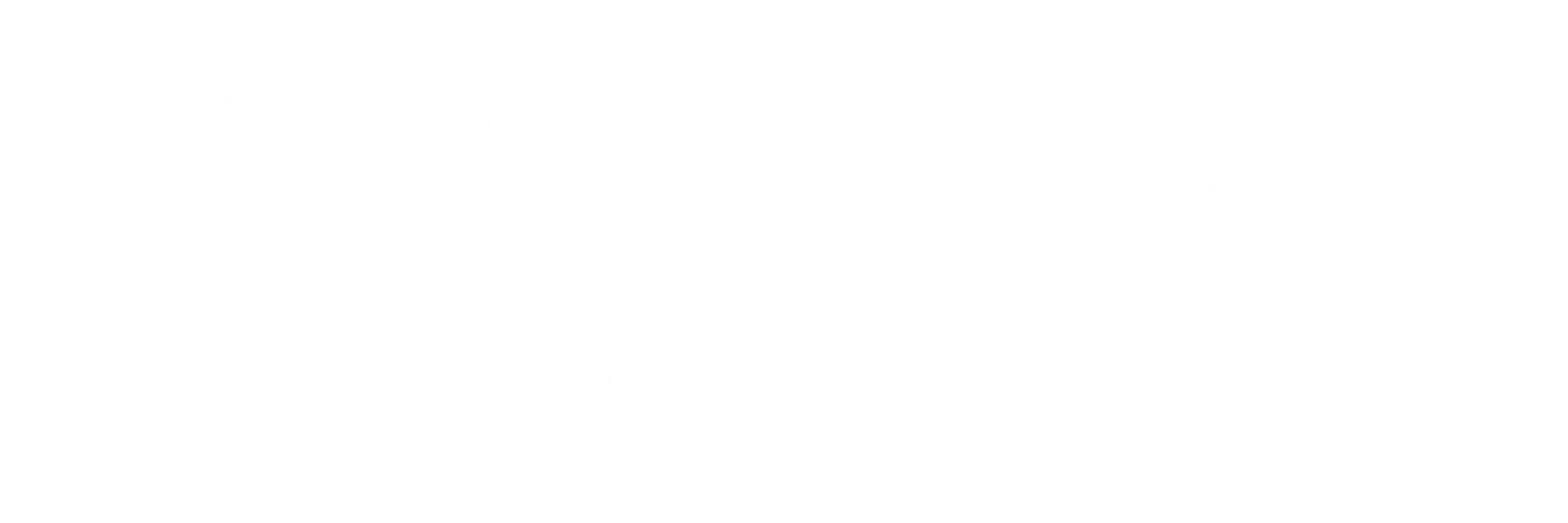 Sydney Romero Visual Storytelling logo, La Grange TX photographer offering cinematic, editorial, storytelling photography