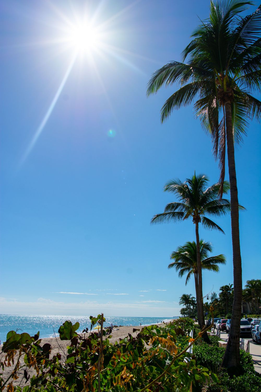 Palm trees line a tropical beach under bright sunlight and blue skies.