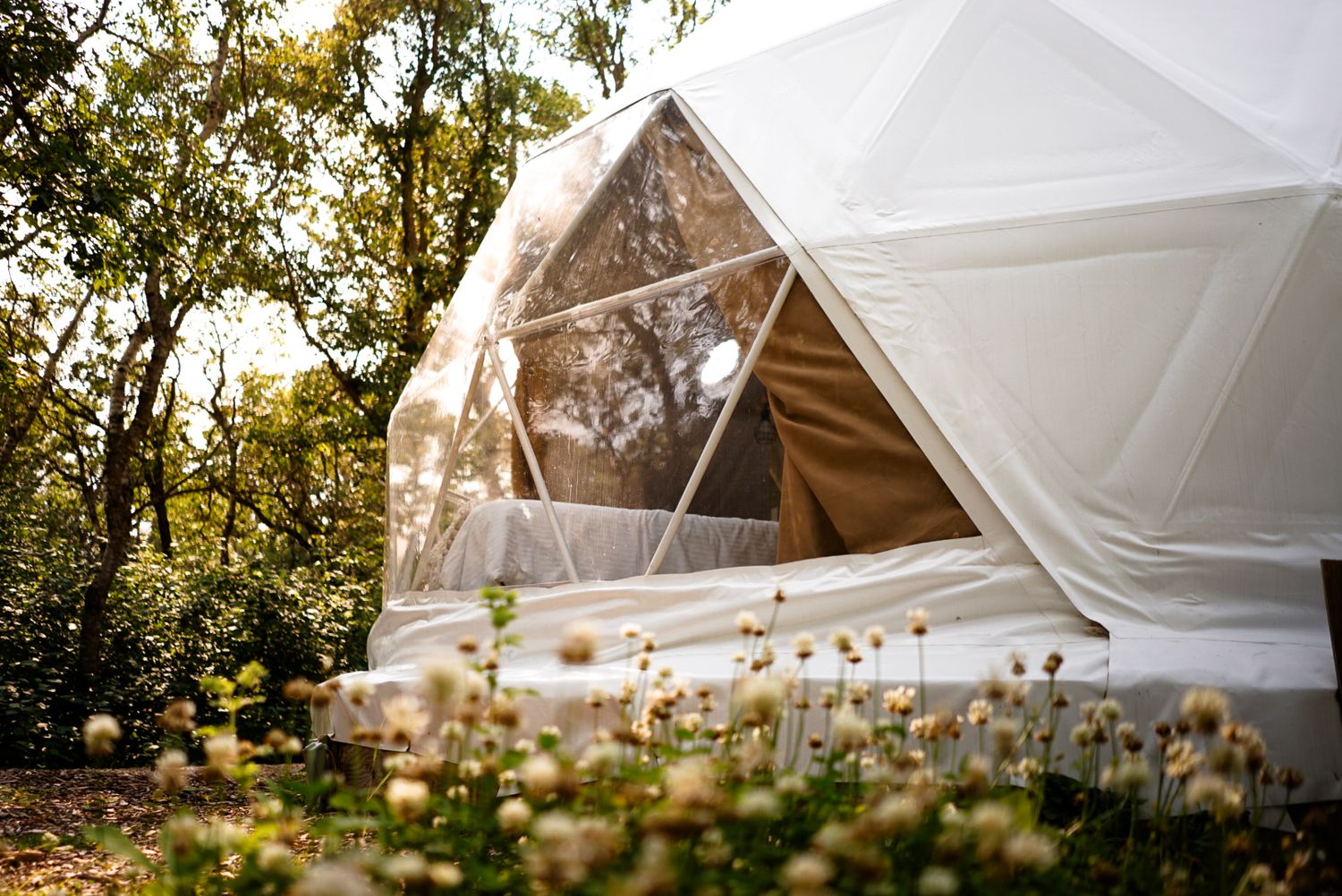 Luxury glamping domes with string lights visible through wildflowers at dusk.