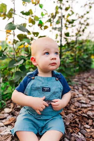 Small child in blue overalls and t-shirt sits on mulch ground beneath leafy trees.
