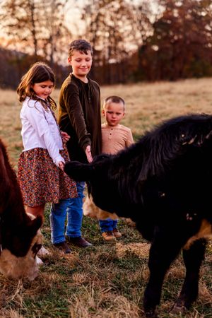Children interact with horses in a pasture during golden hour with fall foliage in the background.