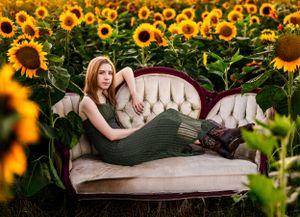 Vintage beige sofa placed in a blooming sunflower field during golden hour photography session.