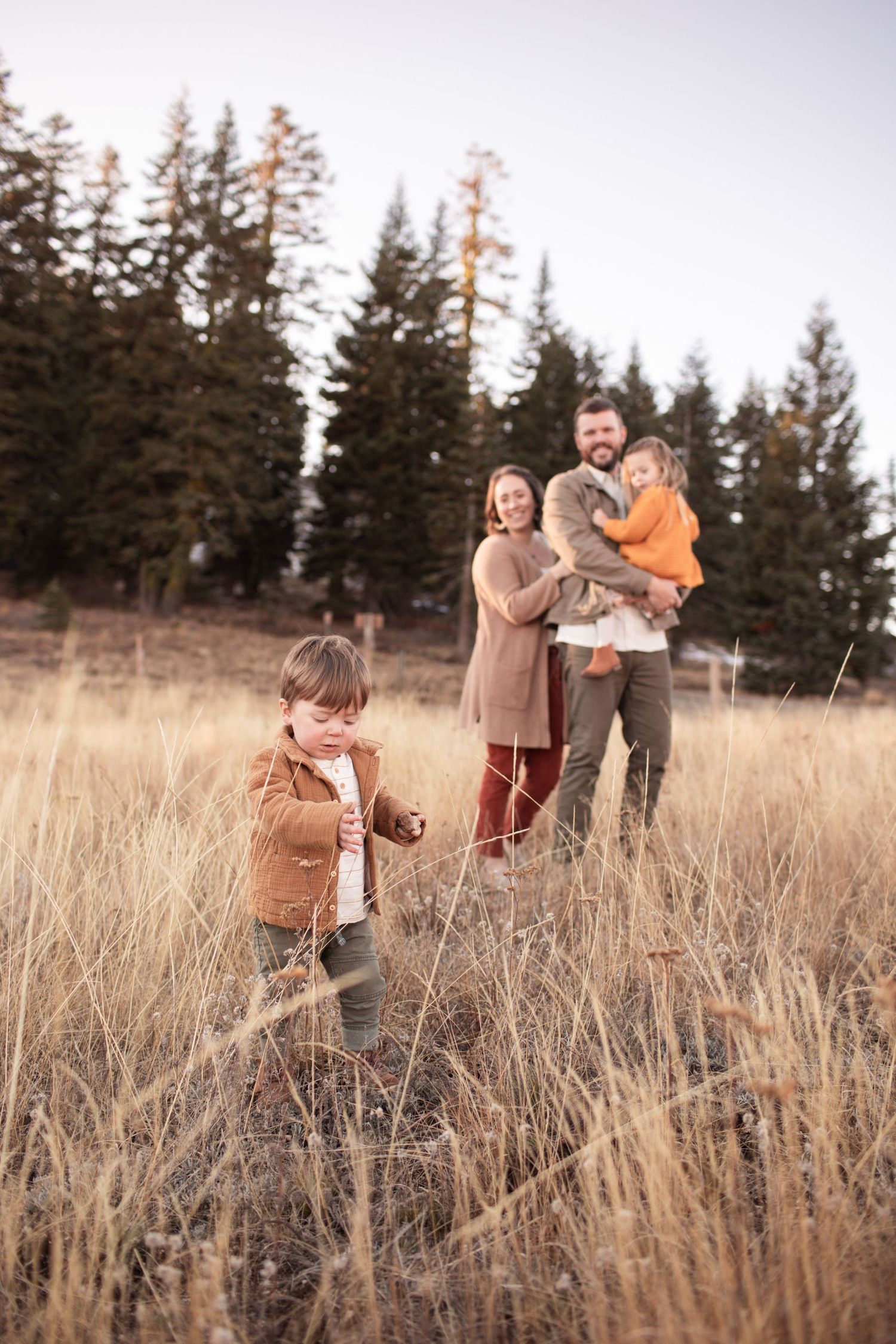 Family enjoying a scenic autumn moment together in a field of tall grass with evergreen trees.