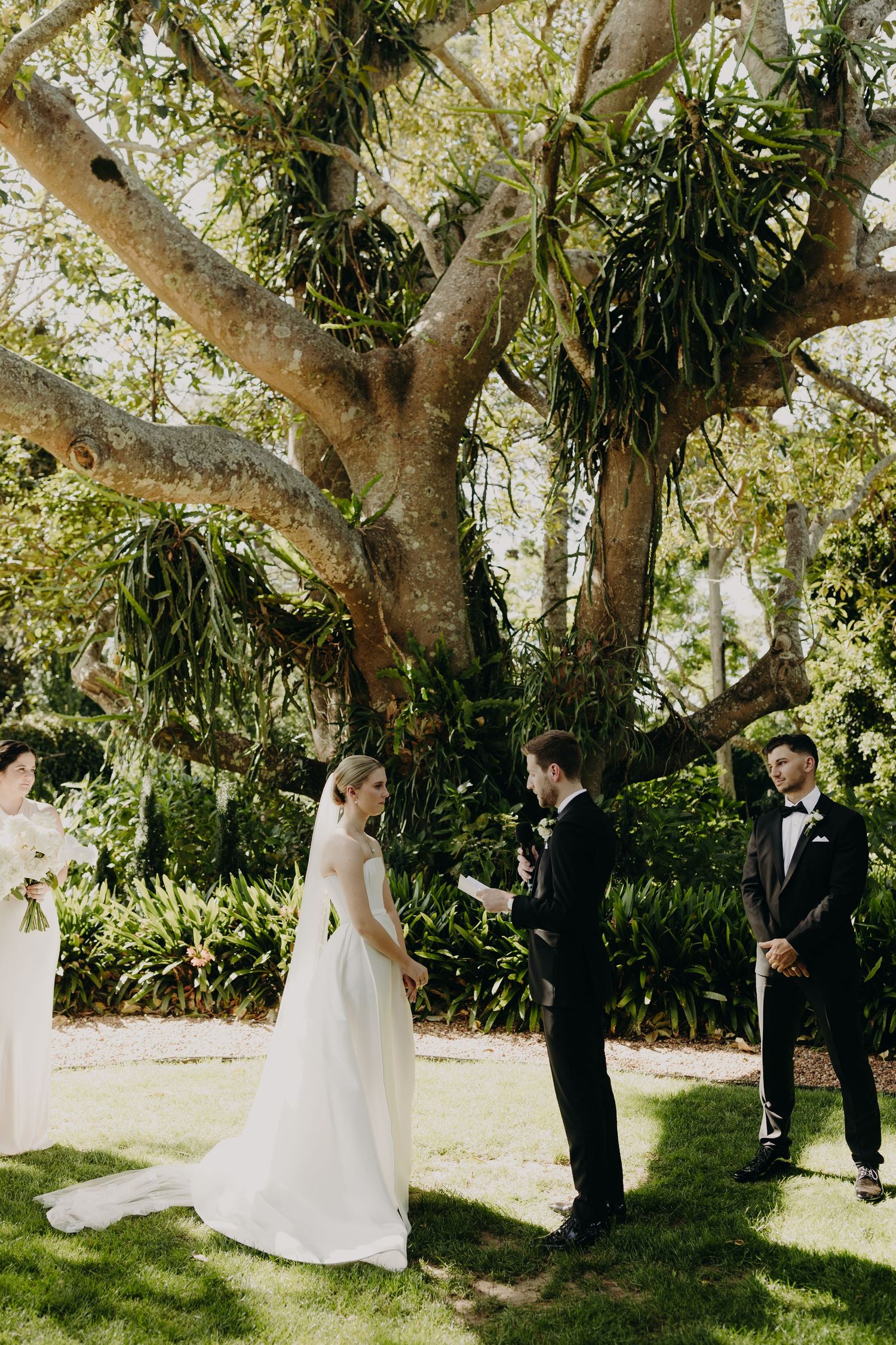 Wedding party gathered under a majestic tree during outdoor ceremony.