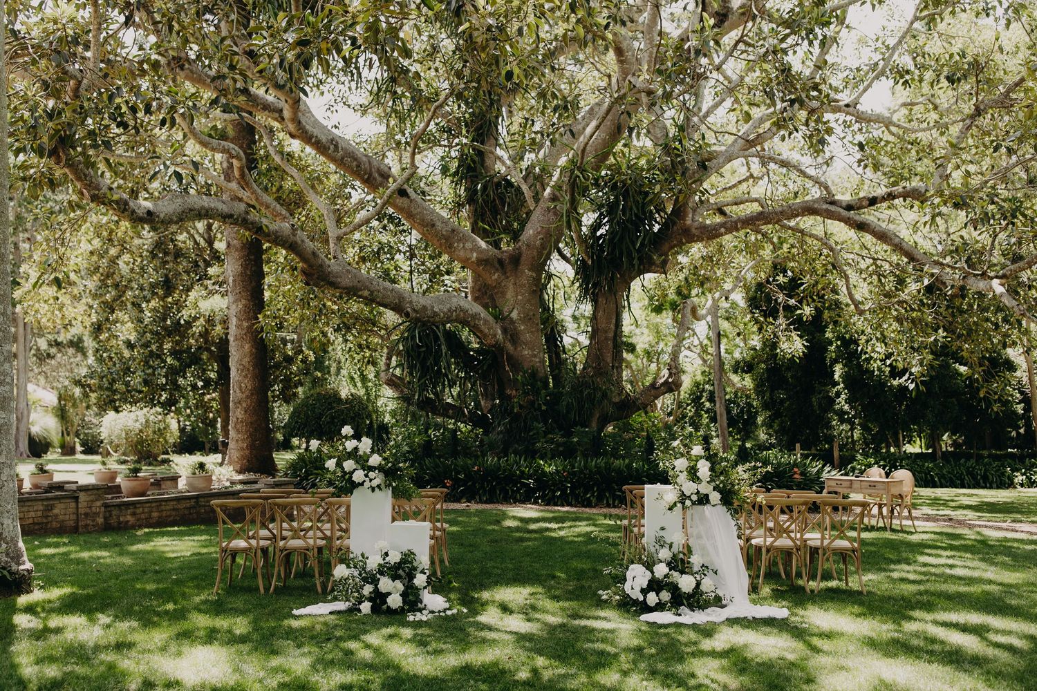 Panoramic view of a serene outdoor wedding venue with trees and wooden chairs.