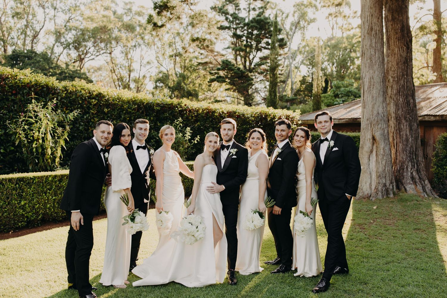 Wedding party gathers on grass with tall trees in background during golden hour.