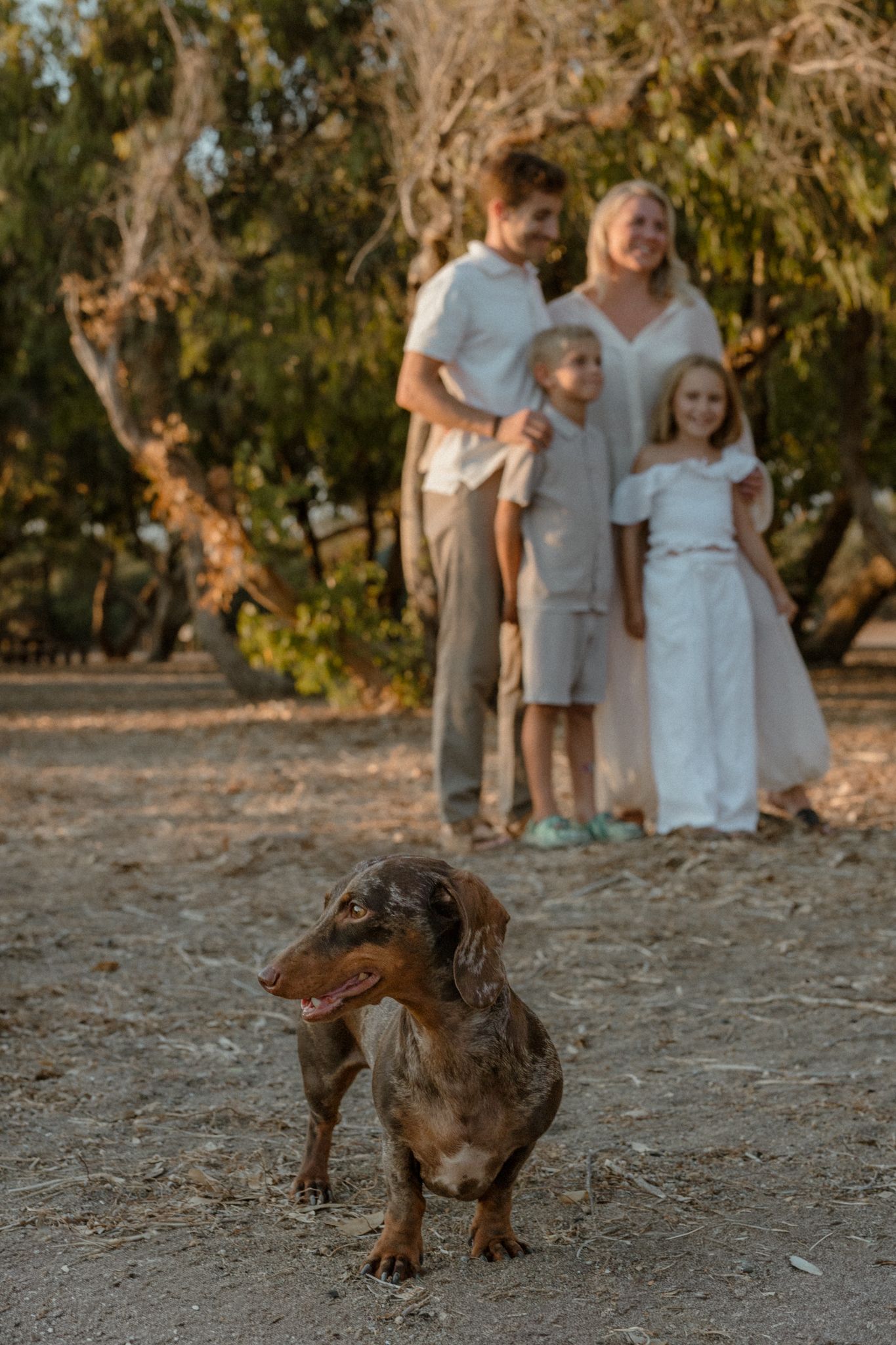 A dachshund poses in front of a smiling wedding family with two children standing among trees at golden hour.