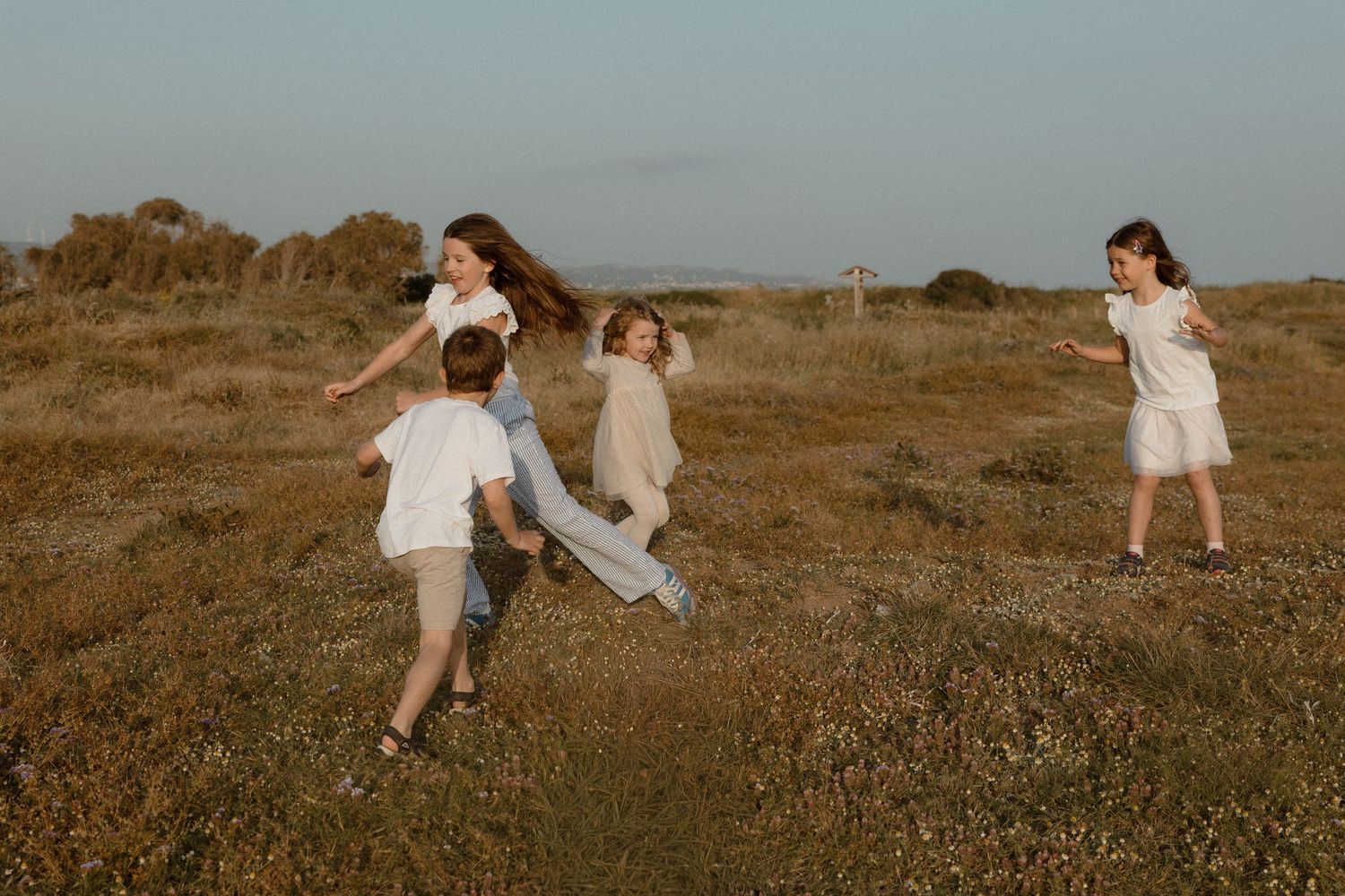 Children playing and running freely in a golden meadow field during a warm outdoor family photo session.
