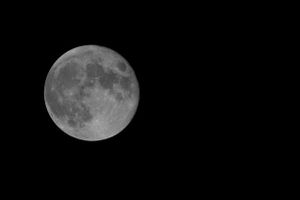 Progressive phases of the full moon shown in black and white against a dark night sky.