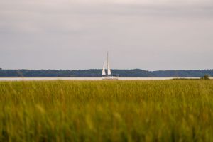 Distant sailboat visible on horizon line across expansive marsh grasslands.