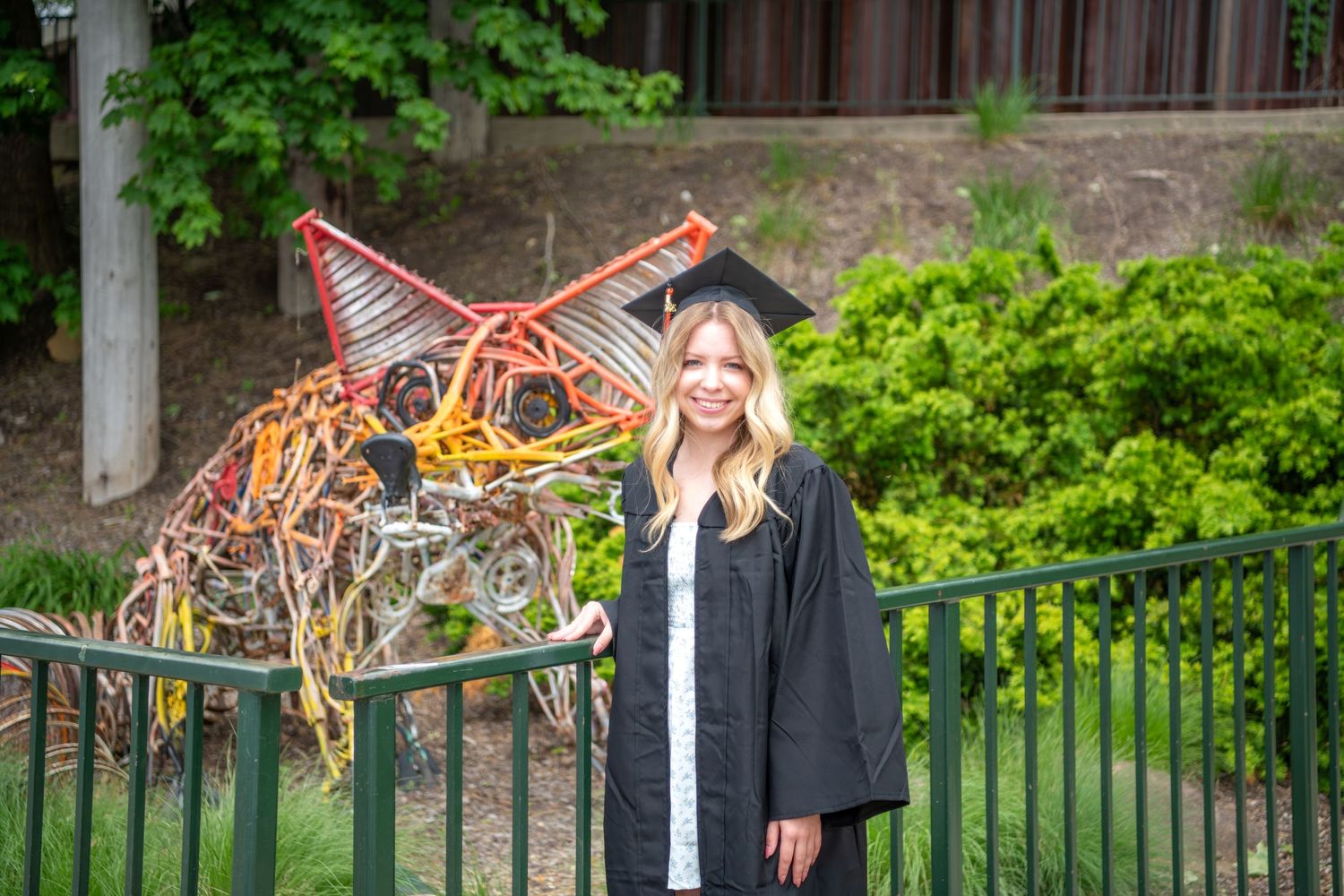 A giraffe leans down to interact with someone in graduation attire at an outdoor ceremony.