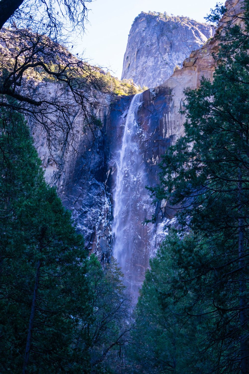 Majestic waterfall plunges down steep rock face surrounded by evergreen forest in Yosemite Valley.