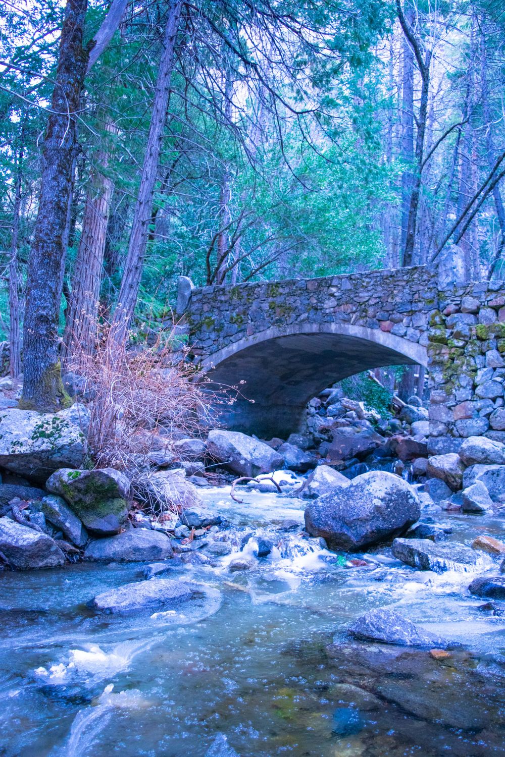 Stone bridge spans rushing stream surrounded by winter forest in ethereal blue light.